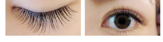 スタイルプラン ドールタイプ