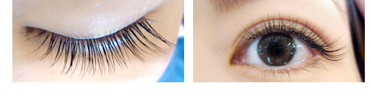 スタイルプラン グラマラスタイプ