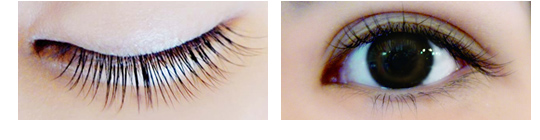 スタイルプラン ナチュラルタイプ